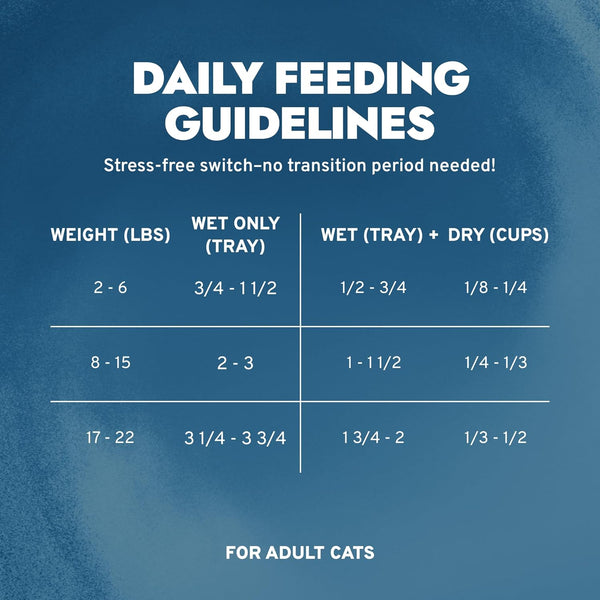 Forza10 Renal Wet Cat Food for Adult Cats - 3.5 Oz, 12 Pack - Lamb Flavor | Actiwet Renal Support - Vet-Formulated, Non-Gmo - Kidney Support for Adult Cats - Made in Italy5