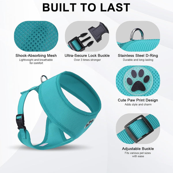 BINGPET Small Dog Harness, No Pull Dog Harness Small Sized Dogs, Soft Light Breathable Mesh Puppy Vest with Safety Buckle-Adjustable Step in Pet Harnesses for Easy Walking, Running, Training2