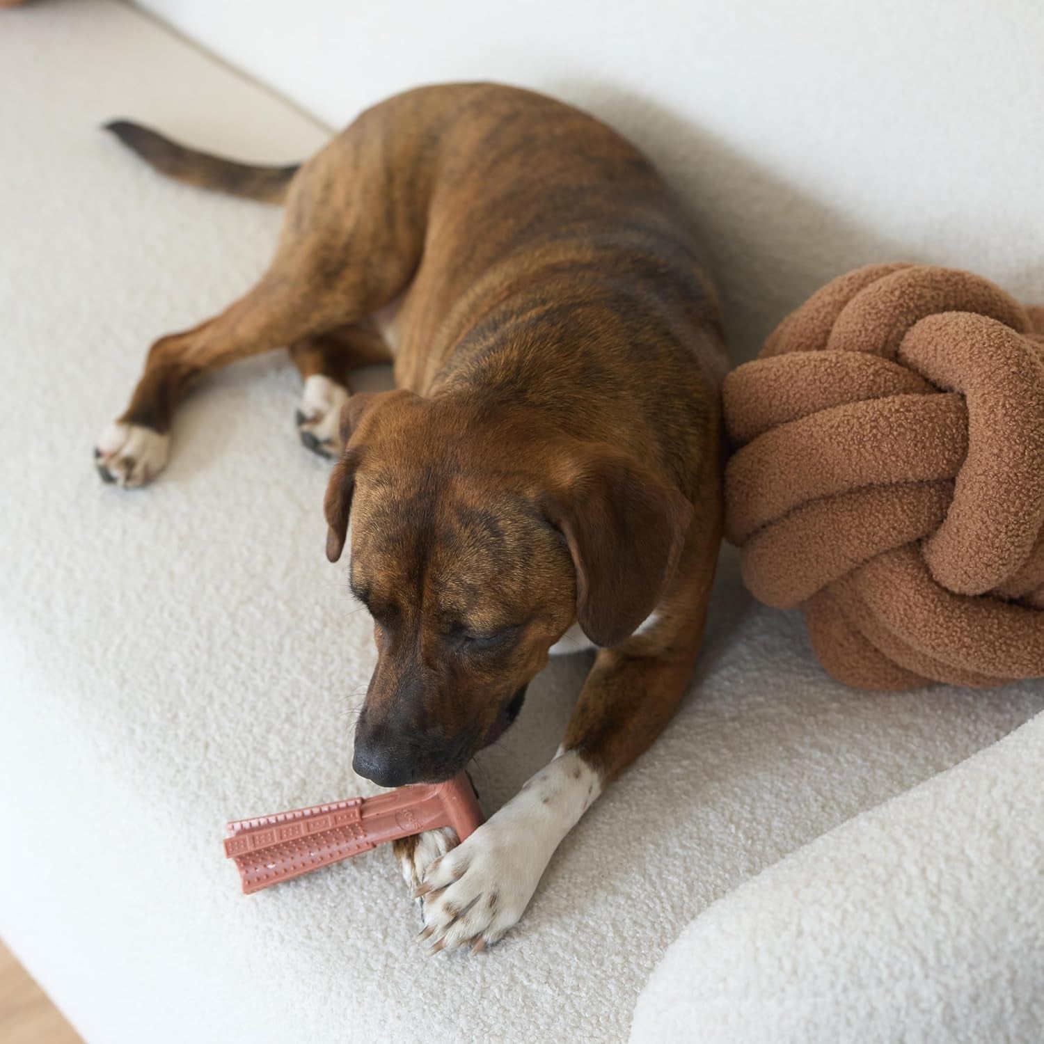 spot-bam-bones-plus-t-bone-bamboo-fiber-nylon-dog-chew-toy-for-moderate-to-aggressive-chewers-durable-long-lasting-non-splintering-beef-flavor-toy-for-adult-dogs-puppies-under-60-lbs-6-in