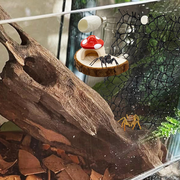 Jumping Spider Habitat Accessories Enclosure Habitat Accessories Jumping Spider Web Climbing and Feeding Platforms with Magnets for Small Insects Critters7