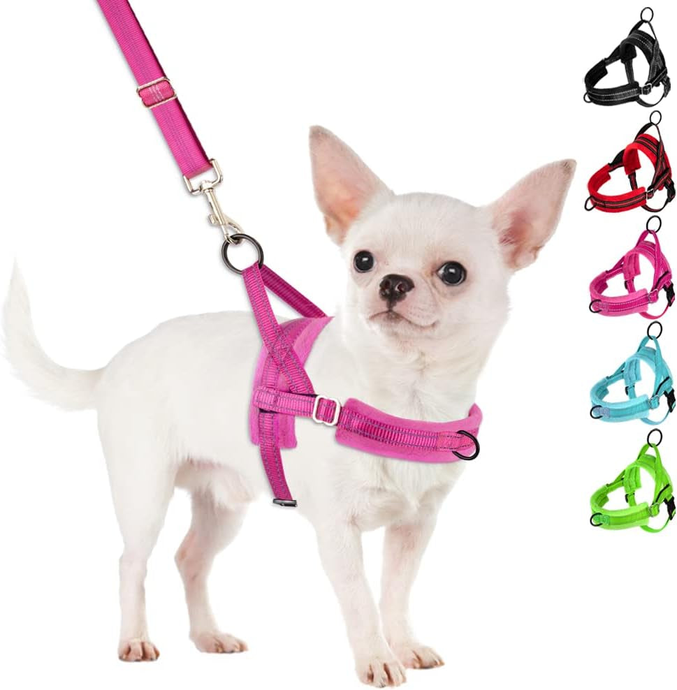 slowton-no-pull-small-dog-harness-and-leash-set-puppy-soft-vest-harness-neck-chest-adjustable-reflective-lightweight-harness-anti-twist-pet-lead-combo-for-small-medium-dogs-fuchsia-xxs