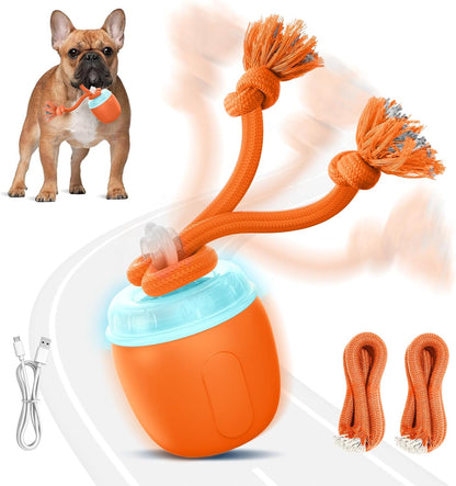 Interactive Dog Toys, Automatic Moving and Rolling Dogs Toy with Rope for Medium/Large Dogs, Interactive Dog Ball to Keep Them Busy(Blue)9