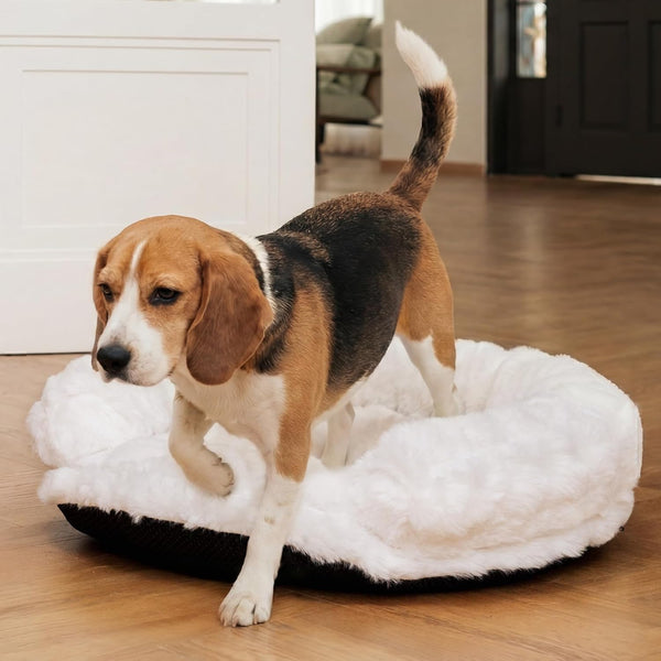 Dog Bed Couch Sofa for Small Medium Dogs Cats 30X30X9 round White | round Plush, Orthopedic, Washable, Removable Cover, Anxiety Relief8
