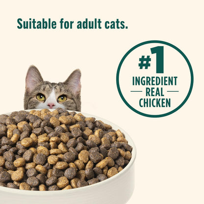 Nutrish Indoor Complete Dry Cat Food, 6 Lb. Bag (Rachael Ray) | Chicken, Lentils & Salmon Recipe, Crafted for Adult Indoor Cats, Veterinarian Reviewed Formula6