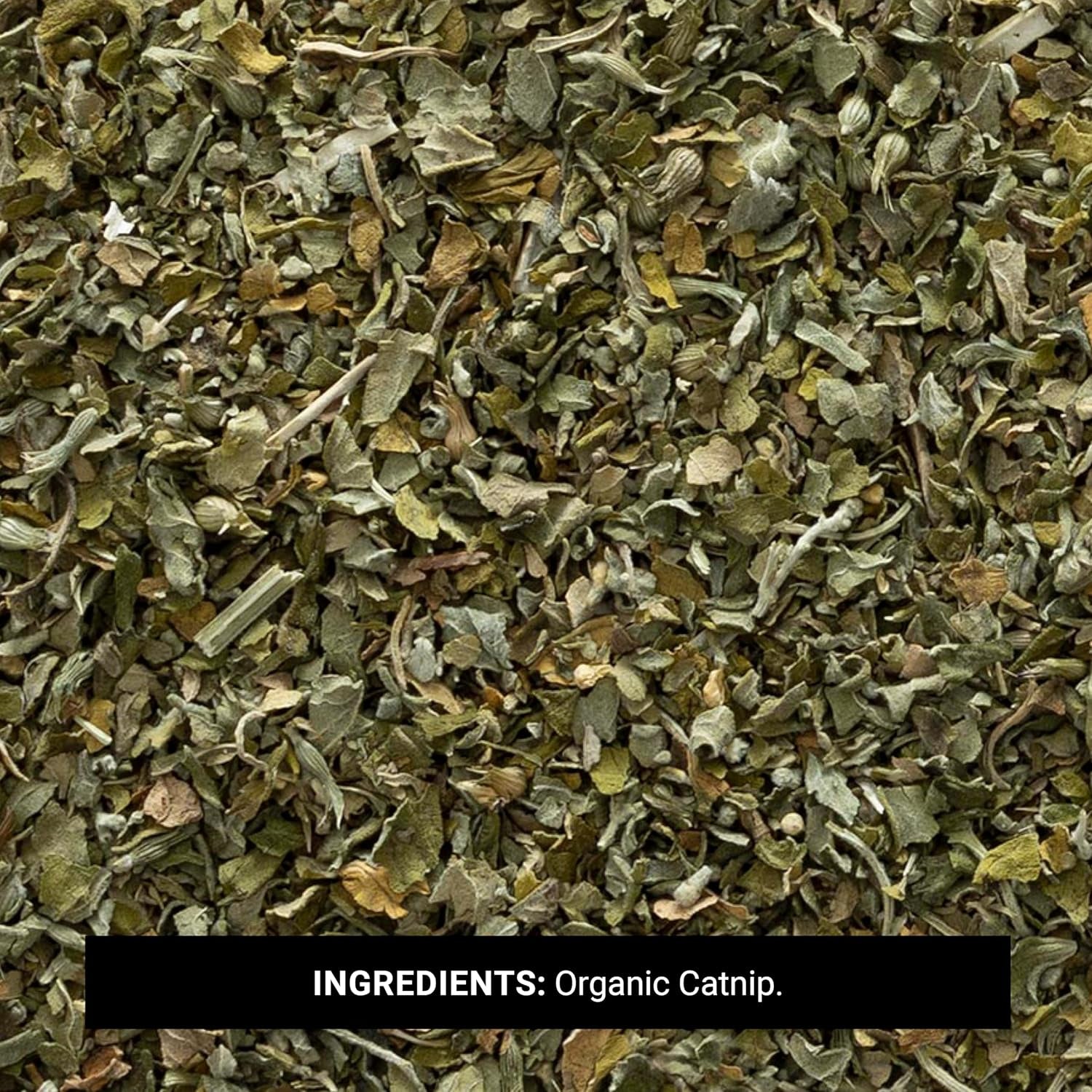 frontier-co-op-organic-catnip-1-pound-bulk-loved-by-cats-gardeners-popular-tea-blend-organic-kosher