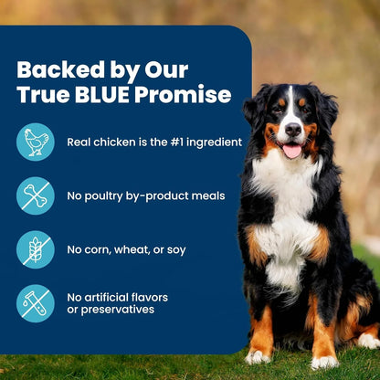 Happy Bernese Mountain Dog beside True BLUE Promise highlights: real chicken, no by-products, no corn/wheat/soy, no artificial additives6