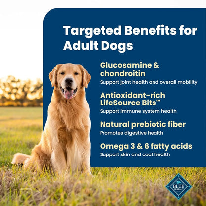 Golden retriever sitting in grass with adult dog health benefits info7