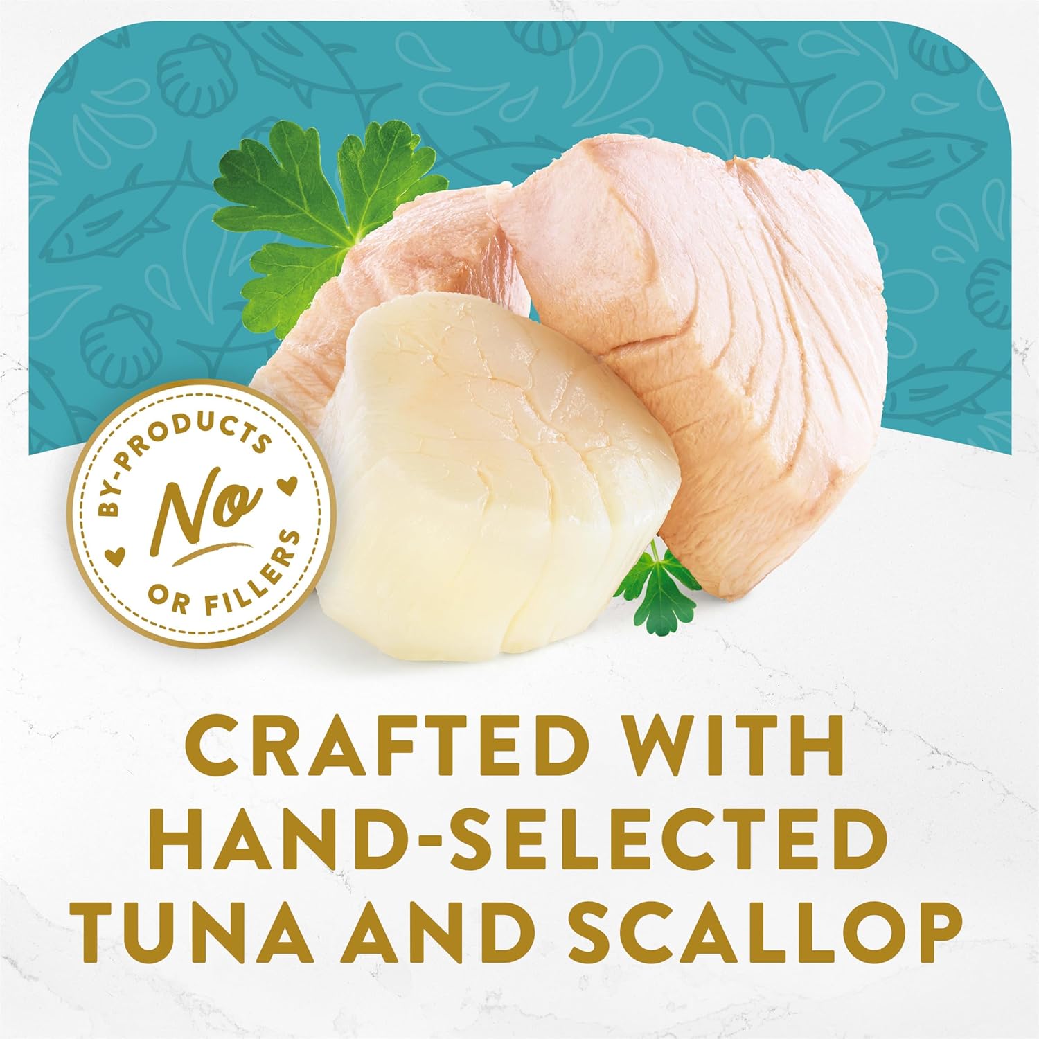 purina-fancy-feast-appetizers-tuna-with-scallop-topper-1-1-oz-10-pack