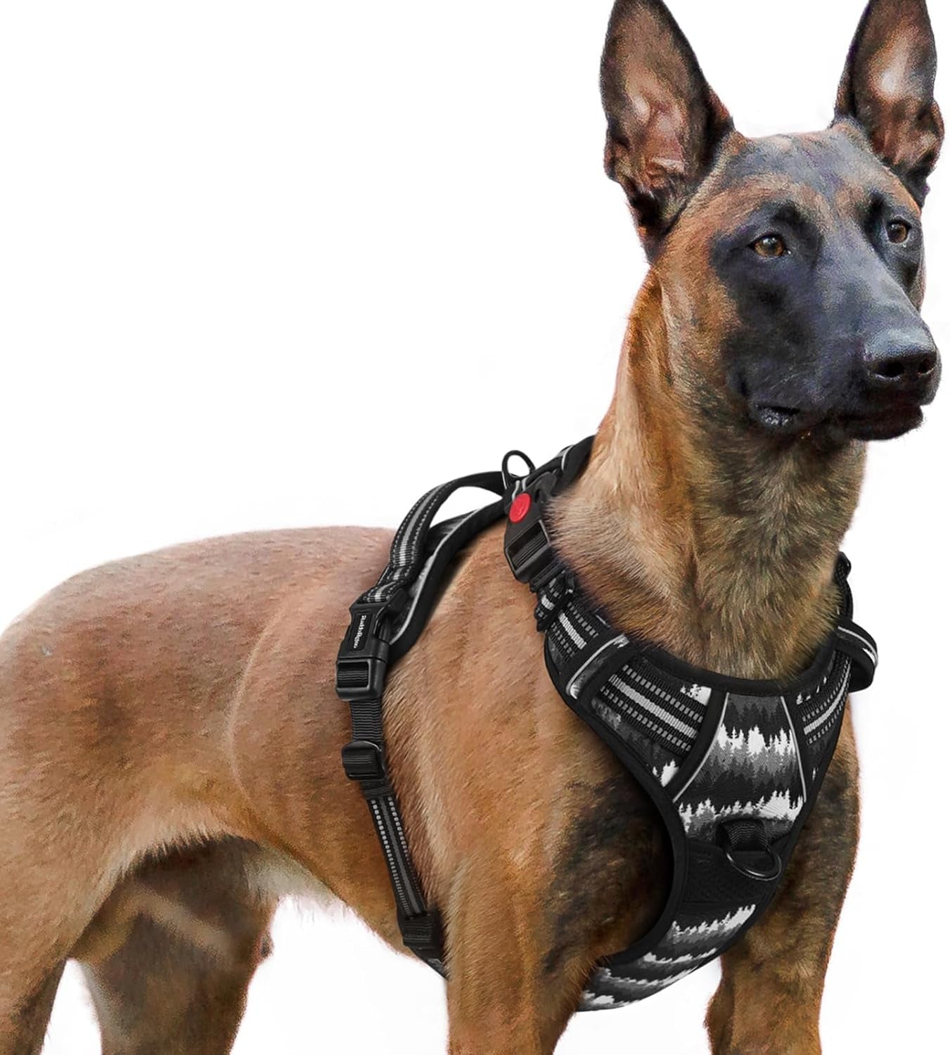 rabbitgoo-dog-harness-medium-sized-updated-easy-on-off-with-3-buckles-no-pull-no-choke-walking-with-2-clips-and-handle-adjustable-soft-reflective-blue-medium