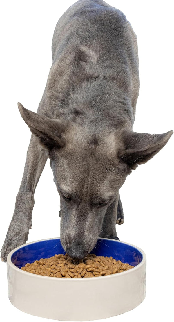 SPOT Ceramic Stoneware- Pet Bowl for Medium and Large Dogs, Classic Heavy Duty Non-Slip Ceramic Bowl for Food and Water - 7.5In Diameter12