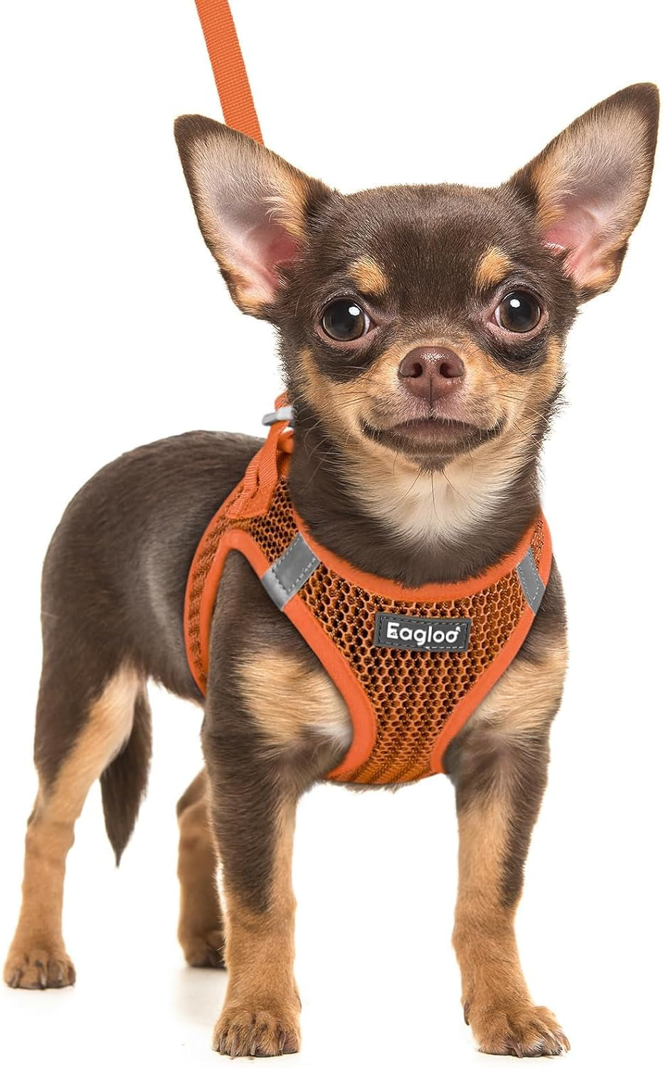 eagloo-small-dog-harness-and-leash-set-step-in-small-sized-puppy-pet-vest-light-soft-breathable-air-mesh-easy-on-and-off-with-hook-loop-reflective-for-safe-walking-pink-s
