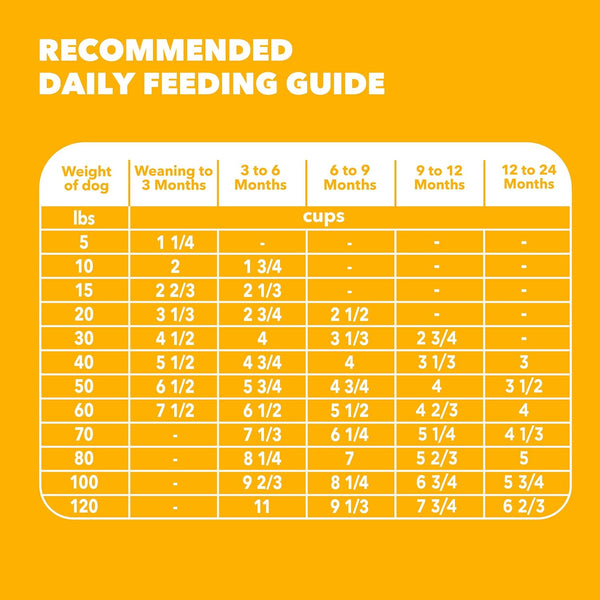 IAMS Proactive Health Large Breed Puppy Dry Dog Food, Chicken, 30.6 Lb | Real Chicken #1 Ingredient, Omega-3 DHA for Cognitive & Vision Development, Optimal Calcium for Bones & Joints, Vitamin E9