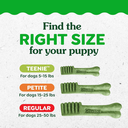Greenies Puppy Teenie Natural Dental Dog Treats, Original Flavor, 22 Count | Veterinarian-Recommended, Natural Ingredients, Cleans Teeth & Freshens Breath, for Dogs 5-15 Lbs, 6 Oz. Pack12