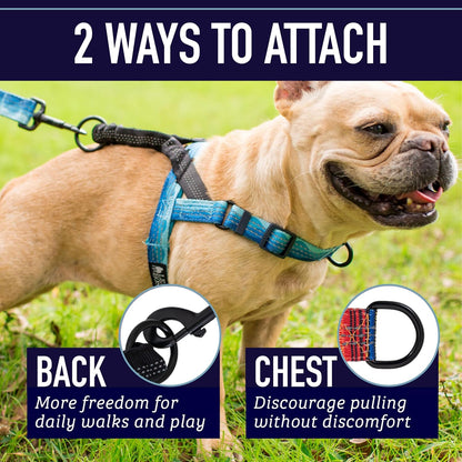 Leash Boss No Pull Dog Harness, Easy Walk for Small, Medium, and Large Pets, Reflective with Rear and Front Clip Attachment (Blanket Pattern, Medium)4