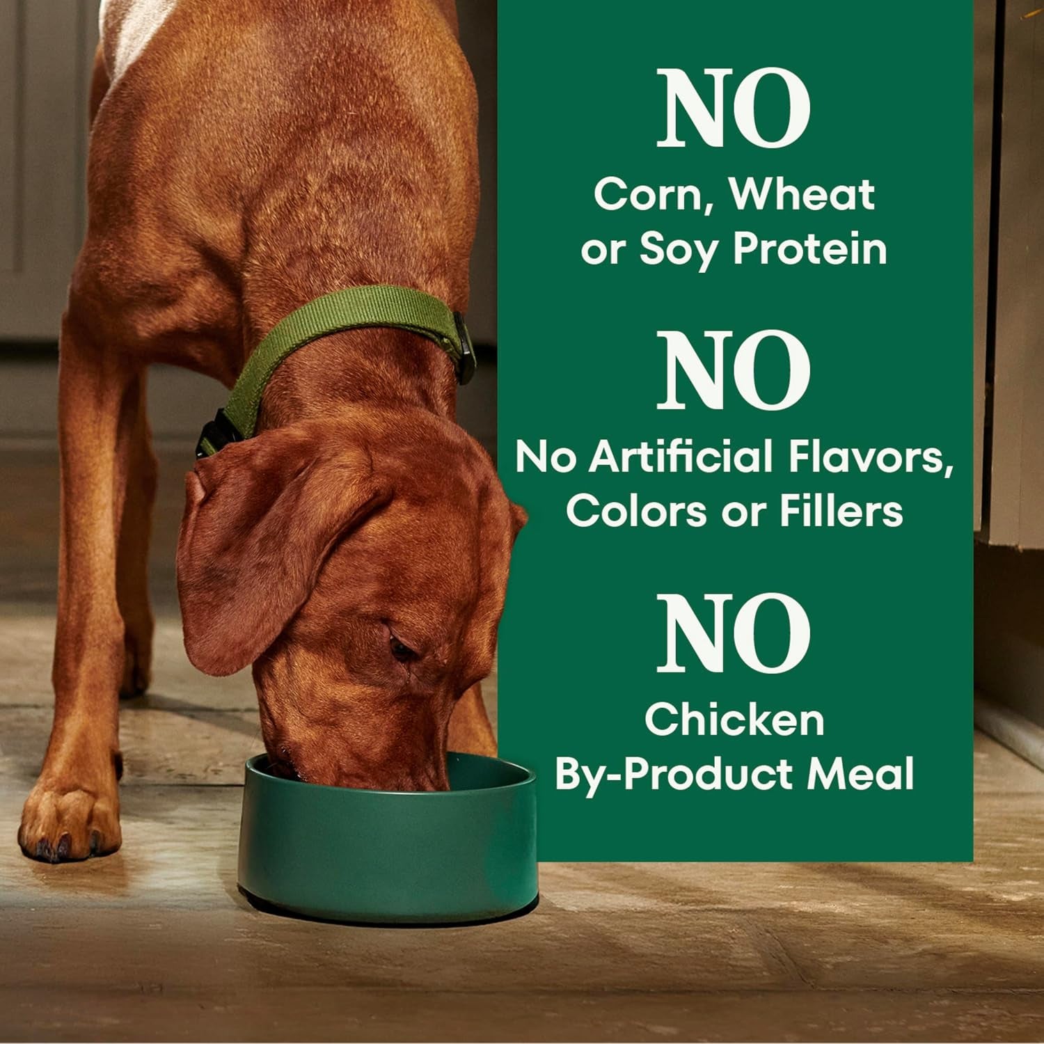 nutro-natural-choice-healthy-weight-dry-dog-food-chicken-rice-30-lb-non-gmo-chicken-1-ingredient-no-corn-wheat-soy-supports-weight-loss-skin-coat-digestive-immune-health
