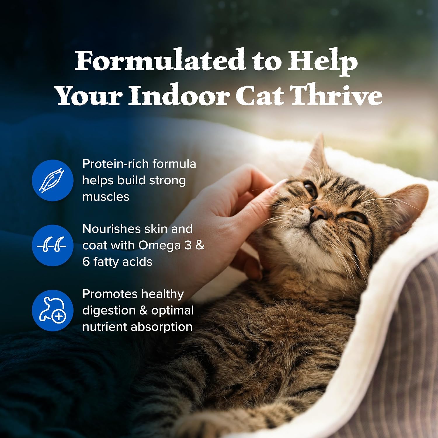 blue-buffalo-wilderness-chicken-natural-high-protein-grain-free-dry-food-for-adult-indoor-cats-real-chicken-first-antioxidant-rich-lifesource-bits-support-immunity-promotes-strong-muscles-5-lbs