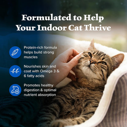 Blue Buffalo Wilderness Chicken Natural High-Protein Grain-Free Dry Food for Adult Indoor Cats, Real Chicken First, Antioxidant-Rich Lifesource Bits Support Immunity, Promotes Strong Muscles, 5 Lbs.4