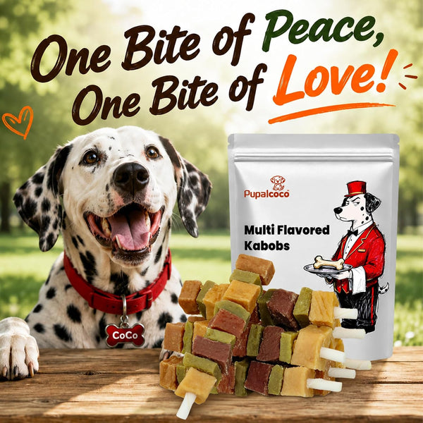 Dog Treats, Multi-Flavored Kabobs Dog Snacks, High Protein Dog Dental Chews | Made with Real Chicken, Duck, Beef, Rabbit, Salmon, Natural Dog Training Treats for Small Medium Large Dogs, 10.6Oz8