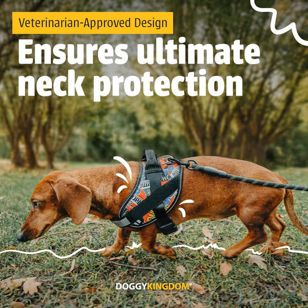 DOGGYKINGDOM No Choke Dog Harness with Handle and Patch Panels, Adjustable Reflective Dog Vest for Small Sized Dog, Blue, S3