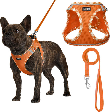 AMTOR Small Dog Harness with Leash Set, No Escape Easy Walk Puppy Harnesses for Training Walking, Step-In Reflective Soft Dogs Vest for XS S Medium Extra-Small Large Sized Dog(Green,S)20