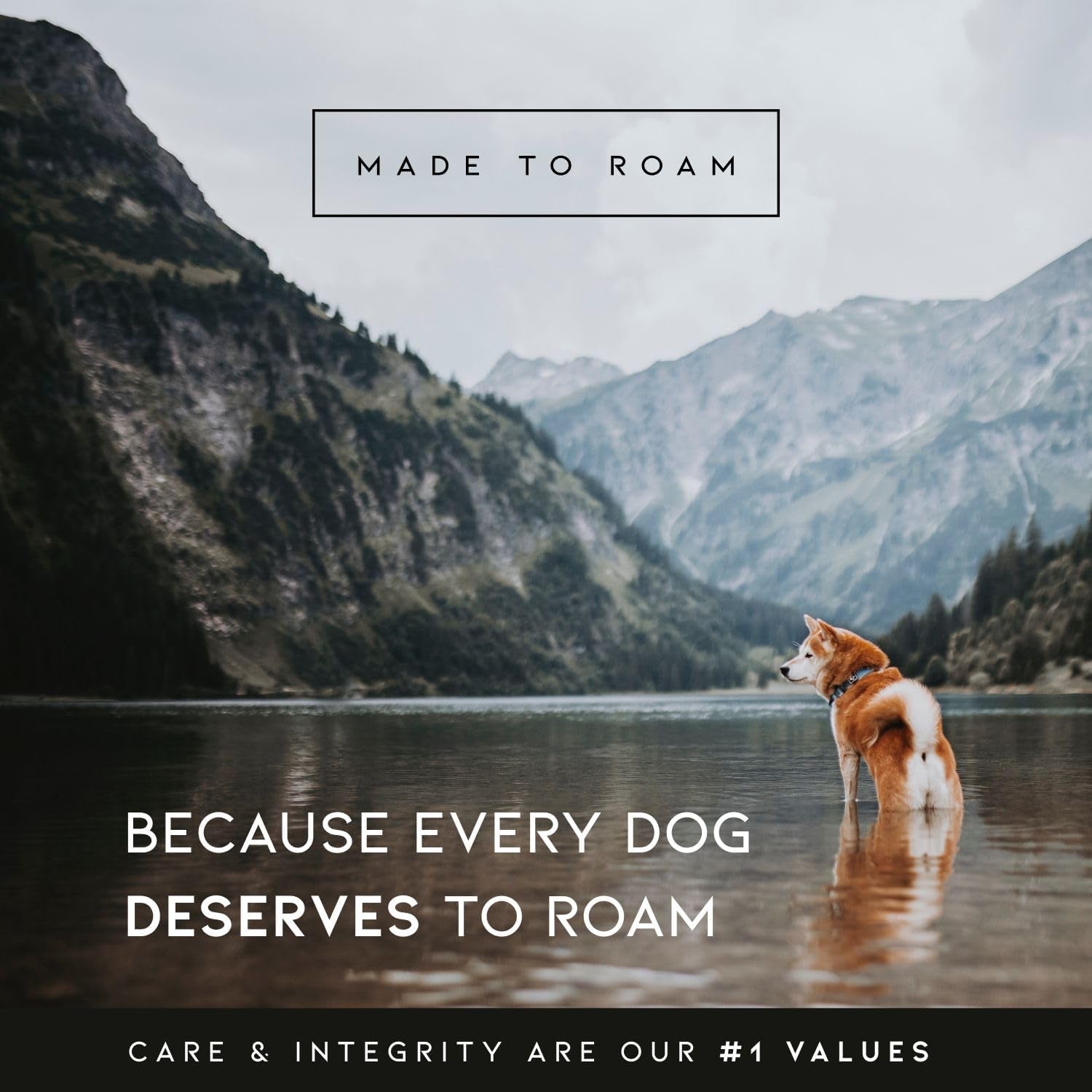 made-to-roam-control-dog-collar-leather-handle-heavy-duty-metal-buckle-premium-adjustable-collar-with-vegan-leather-handle-fits-medium-to-large-dogs-15-colors-matching-leash-harness