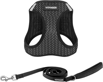 Best Pet Supplies Voyager Step-In Air All Weather Mesh Harness and Reflective Dog 5Ft Leash Combo with Neoprene Handle, for Small, Medium and Large Breed Puppies - Baby Blue, Small17
