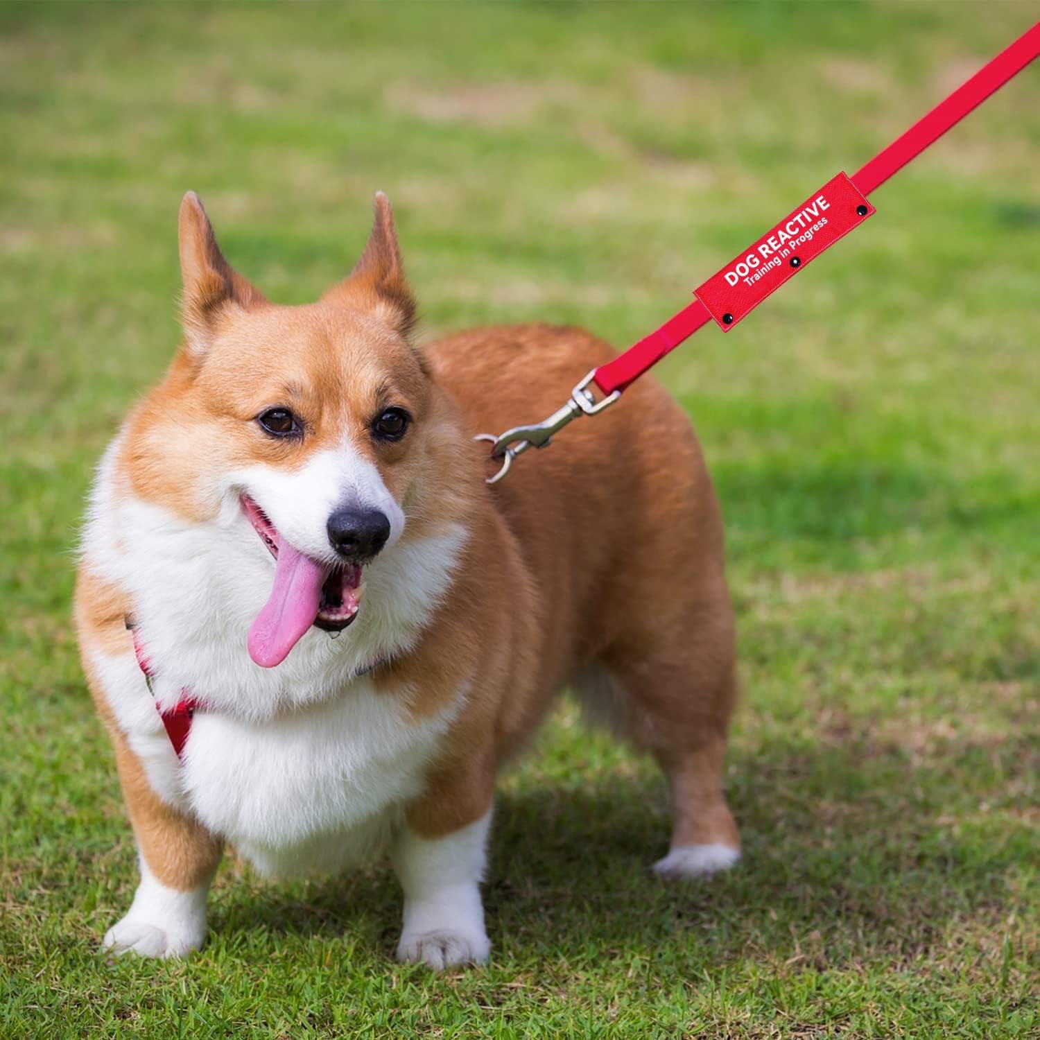 advivio-dog-reactive-training-in-progress-funny-red-dog-leash-sleeve-wrap-alert-hanging-id-patch-tag-for-pet-the-best-choice-for-daily-walking-and-training-fitness-pet-birthday-gift