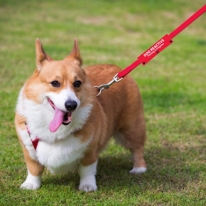 Advivio Dog Reactive Training in Progress Funny Red Dog Leash Sleeve, Wrap Alert Hanging ID Patch Tag for Pet the Best Choice for Daily Walking and Training Fitness, Pet Birthday Gift4