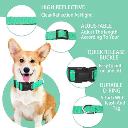 Reflective Dog Collar with Safety Locking Buckle, Adjustable Soft Breathable Nylon Collars for Small, Medium and Large Dogs(Collar+Leash XS Width 5/8" Turquoise) | Adjustable Soft Breathable Nylon Collars for Small, Medium and Large Dogs (XS Width 5/8" Turquoise)2