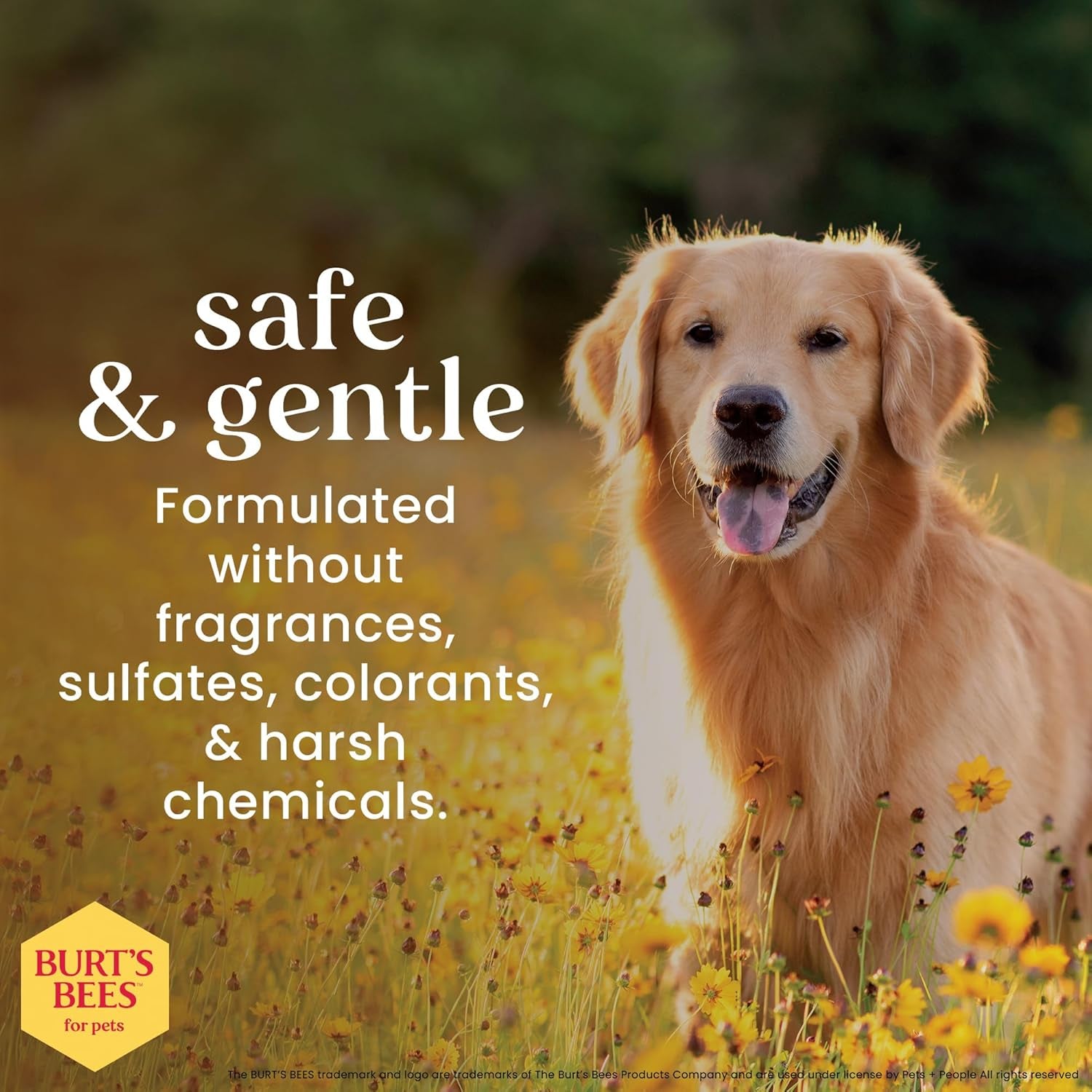 burts-bees-for-pets-oatmeal-dog-conditioner-fragrance-free-10-fl-oz-colloidal-oat-flour-and-honey-moisturize-and-soften-dry-coats-ph-balanced-95-natural-origin