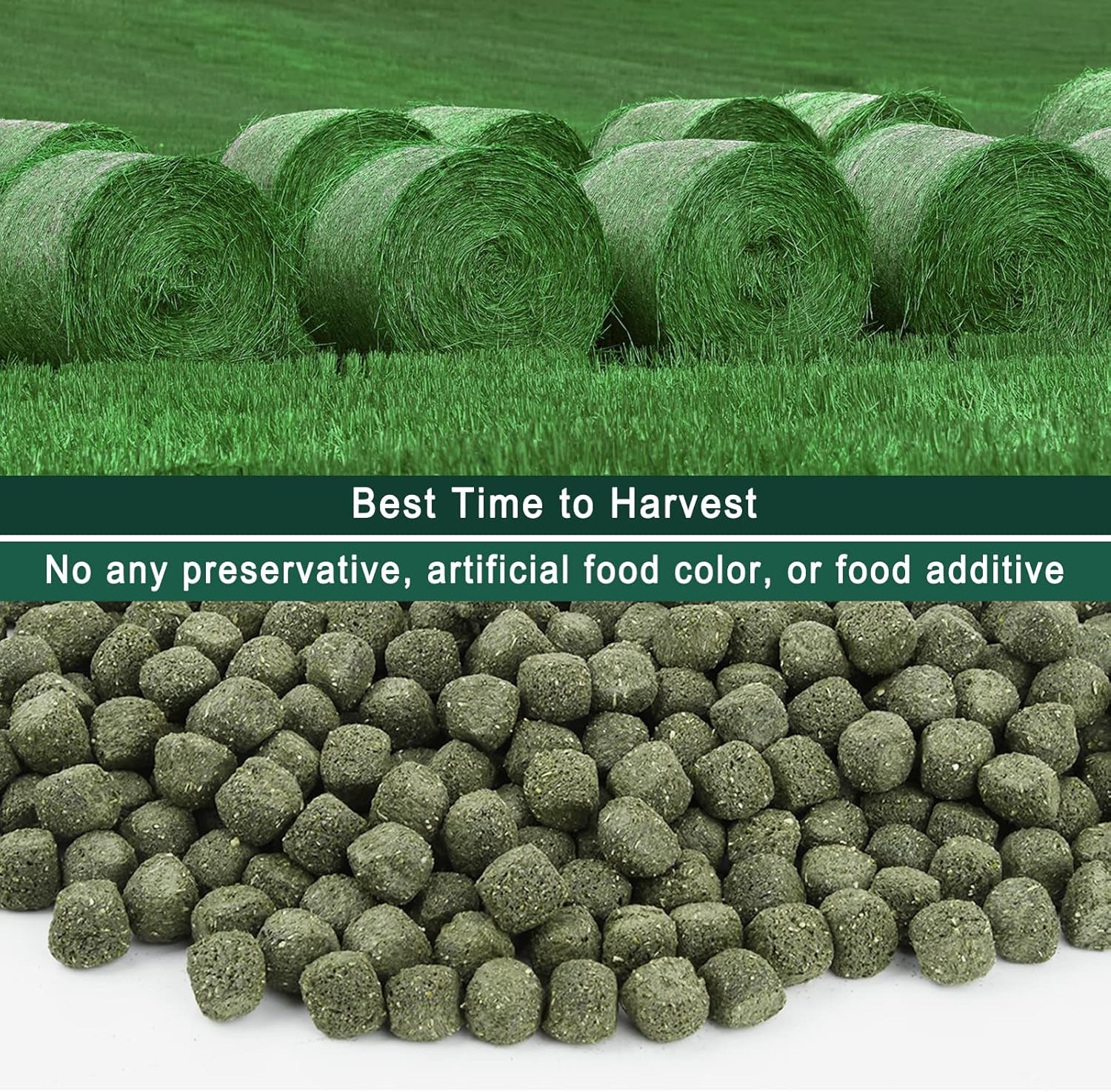 timothy-hay-cubes-6oz-small-pet-feed-100-natural-timothy-hay-cubes-specially-for-rabbits-sulcata-tortoises-guinea-pigs