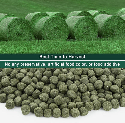 Timothy Hay Cubes, 6Oz Small Pet Feed | 100% Natural Timothy Hay Cubes, Specially for Rabbits, Sulcata Tortoises, Guinea Pigs5