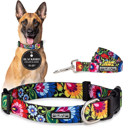 Lucky Love Dog - Easy Click Buckle Dog Collar with Leash Set Combo, Durable & Comfortable for Male & Female Dogs, Pet Collar for Medium Dogs, Secure Fit - Blackbird Combo, Medium91