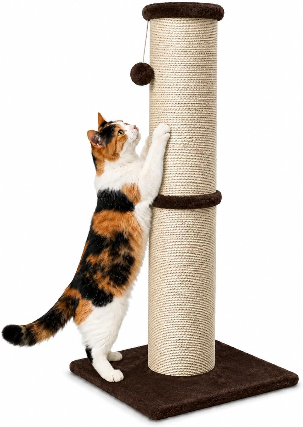 pawscrat-32-inch-tall-cat-scratching-post-5-5-inch-diameter-sisal-beige-natural-sisal-scratching-surface-with-a-dangling-ball-for-indoor-cats-scratch-resistant-durable-and-protect-your-furniture