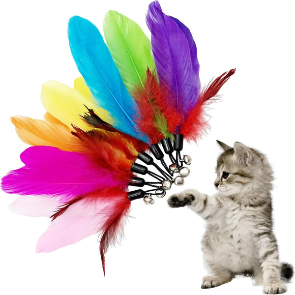Cat Feather Toys Refill, 16 Pieces Cat Wand Replacement Feathers Toy for Indoor Cats4