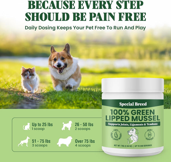 Green Lipped Mussel Powder for Dogs & Cats - 100% New Zealand Green Lipped Mussels - Natural Hip & Joint Supplement for Joints, Tendons, Ligaments, Muscles - 75 Grams - up to 250 Servings5