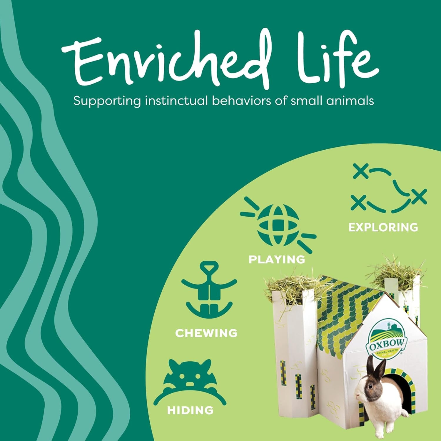 oxbow-timothy-hay-carrot-rabbit-guinea-pig-toys-bunny-enrichment-toys-rabbit-chew-toys-guinea-pig-enrichment-guinea-pig-chew-toys-rabbit-enrichment-natural-materials-small-pet-accessories