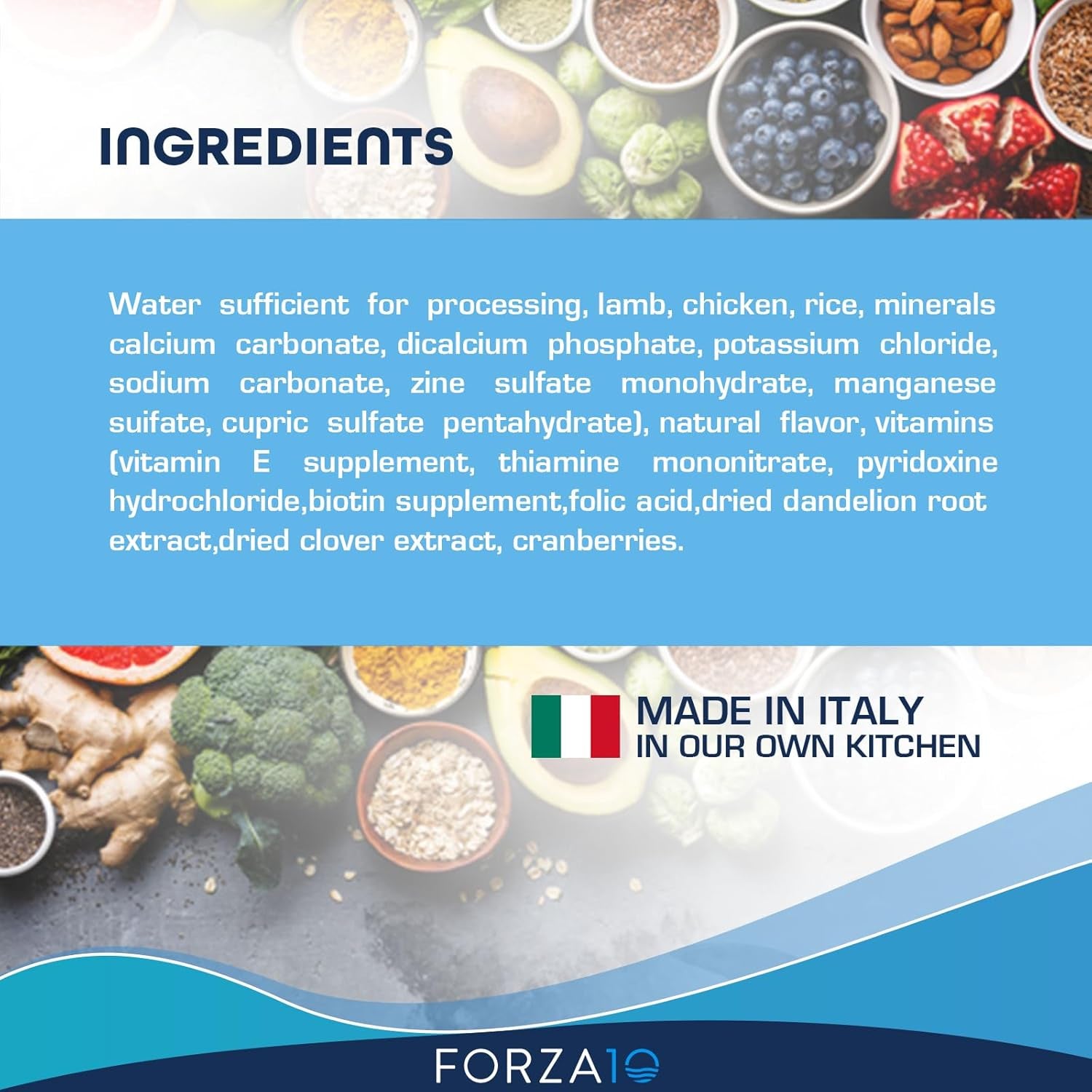 forza10-renal-wet-dog-food-for-adult-dogs-3-5-oz-12-pack-lamb-flavor-actiwet-renal-support-vet-formulated-with-cranberries-dried-dandelion-and-dried-clover-non-gmo-made-in-italy
