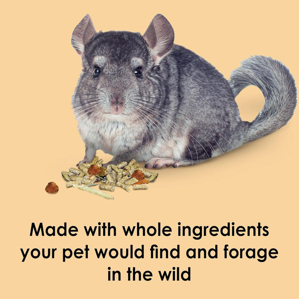Kaytee Food from the Wild Chinchilla, 3 Pounds3