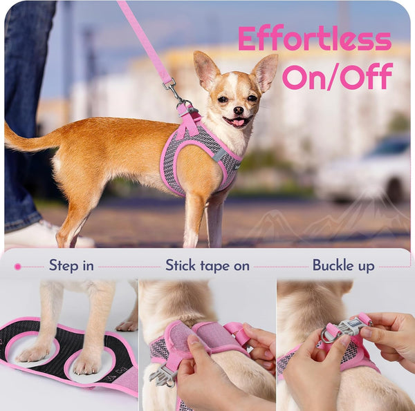 Eagloo Small Dog Harness and Leash Set, Step in Small Sized Puppy Pet Vest | Light, Soft, Breathable Air Mesh, Easy on and off with Hook & Loop, Reflective for Safe Walking, Pink, S8