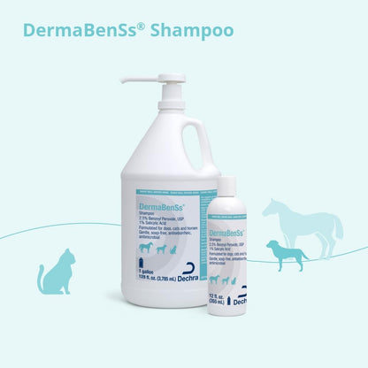 Dermabenss® Shampoo for Dogs, Cats and Horses, 12 Fl Oz | Gentle, Soap-Free, Antiseboerrhetic, Antimicrobial; 2.5% Benzoyl Peroxide, USP; 1% Salicylic Acid; Packaging May Vary5
