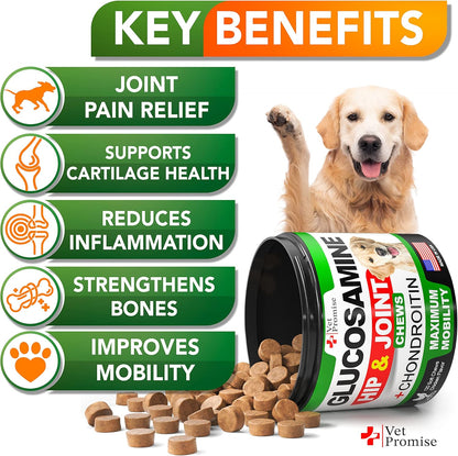 Vet Promise Glucosamine for Dogs - Hip and Joint Supplement for Dogs - Glucosamine Chondroitin - Joint Pain Relief Pills - MSM - Advanced Health Support Supplement - 120 Mobility Chews - Made in USA2