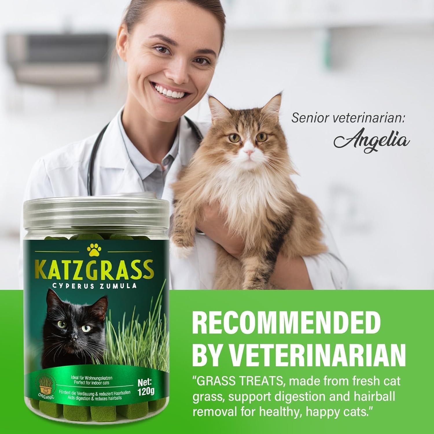 cat-grass-treats-for-indoor-cats-crunchy-wheatgrass-snacks-for-cats-120g-ready-to-eat-wheatgrass-treats-supports-natural-digestive-health-hairball-passage-grain-free-crunchy-for-dental-care
