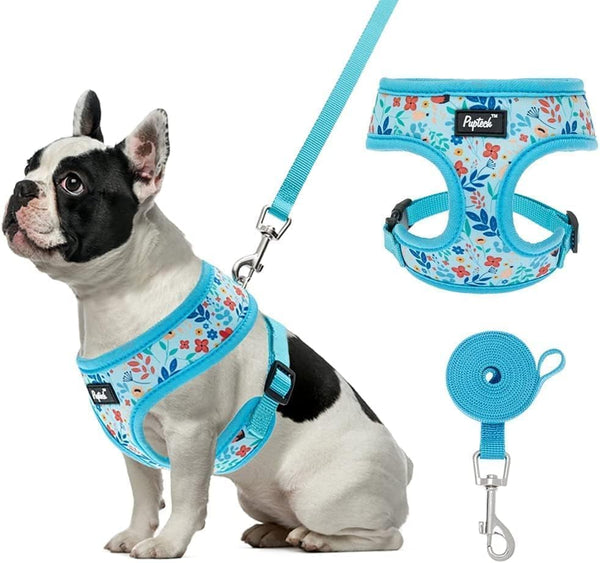 PUPTECK Soft Mesh Dog Harness Small Sized and Leash Set Pet Puppy Cat Comfort Padded Vest No Pull Harnesses, Beige, S23