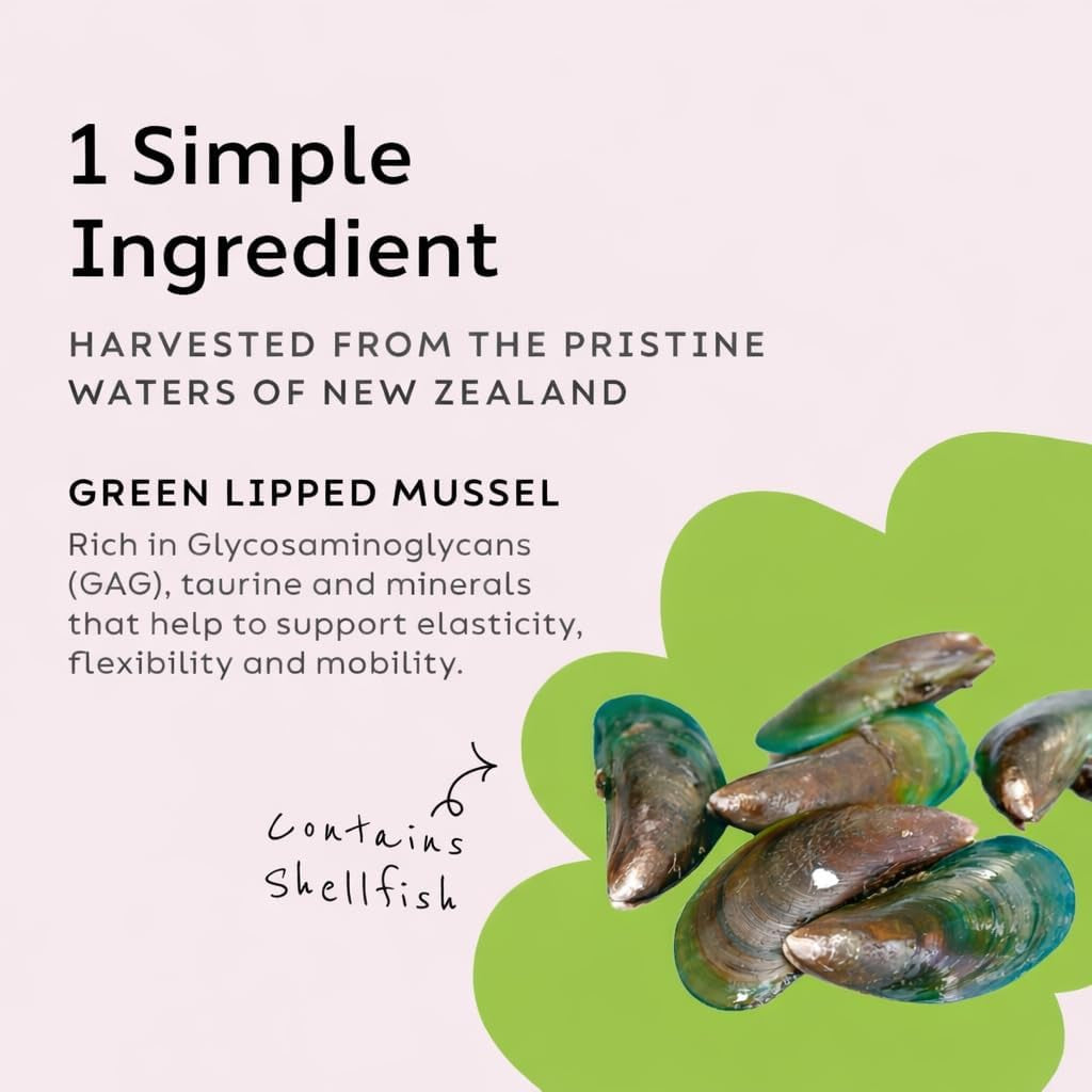 joint-power-supplement-powder-for-dogs-cats-2-64-oz-jar-joint-supplement-powder-made-with-100-green-lipped-mussels-to-support-joints-tendons-and-ligaments