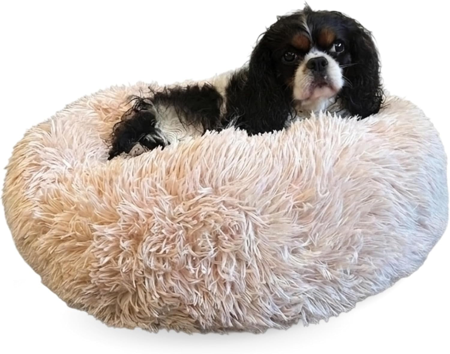 active-pets-premium-medium-donut-dog-bed-fits-up-to-45-lbs-machine-washable-cushion-plush-long-pile-faux-fur-fabric-portable-beige-pet-bed-furniture-for-puppies-adult-canines-cats