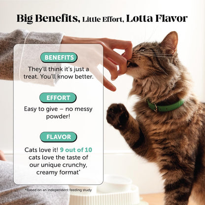 Fresh Breath Dental Bites for Cats – Crunchy & Creamy Cat Dental Treats for Fresh Breath, Tartar & Plaque Control – Dual-Texture Cat Oral Care Bites for Bright Teeth & Healthy Gums – 30 Day Supply4