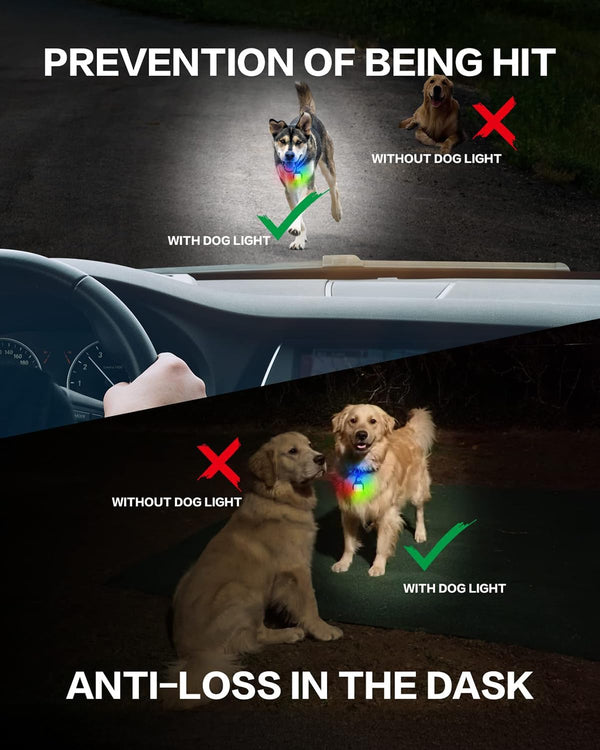 Dog Collar Light 2 Pack, Dog Lights for Night Walking 4 Modes, Waterproof Dogs Light Clip on Rechargeable, LED Dogs Walking Lights for Night Running, Camping, Climbing, Bike3