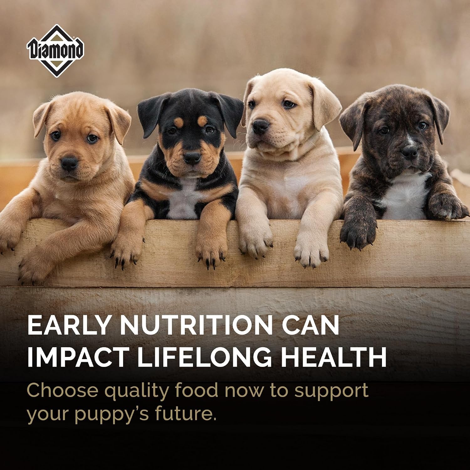diamond-puppy-high-protein-dry-dog-food-chicken-protein-40lb-puppy-adult-senior-dogs-dha-for-proper-brain-vision-development-guaranteed-probiotics-for-digestive-support