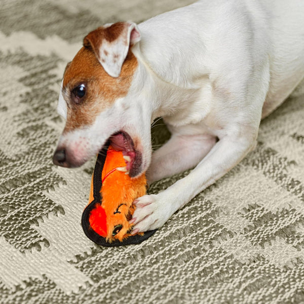 Outward Hound Durablez Minis Stuffing-Free Squeaky Plush Dog Toy for Puppies & Small Dogs - Interactive, Soft yet Tough, No Mess, Jumbo Squeaker, Long-Lasting Play, Dog5